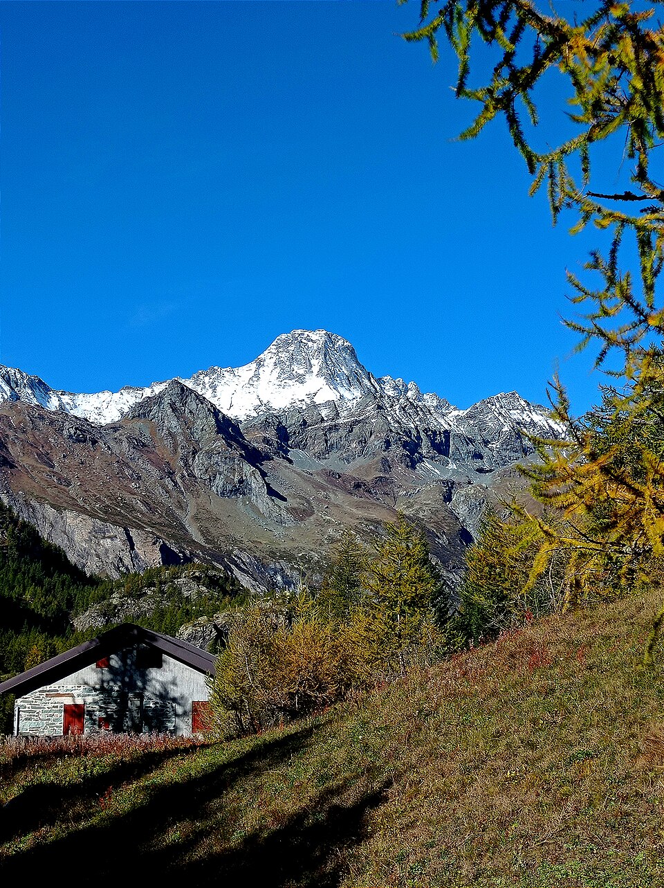 Uja di Bessanese dal Pian della Mussa